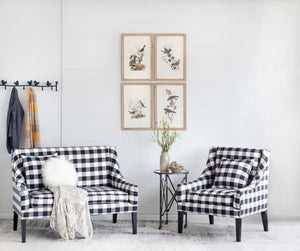 Set of 4 Bird Framed Prints