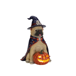 Halloween Bulldog Witch Statue, LED Light Up Jack-O-Lantern Pumpkin