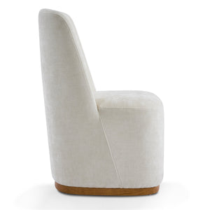 Modern Indoor Dining Chair Set of 2