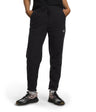 Women's Alpine Polartec 100 Pants - Large