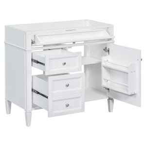 Bathroom Vanity With 2 Drawers and Tip-Out Drawer Storage Cabinet