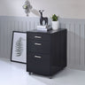 Coleen - File Cabinet