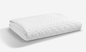 BedGear Dri-Tec Split-Head Queen Mattress Protector