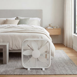20 Inch Box Fan