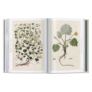 Leonhart Fuchs. The New Herbal (German, French, English)