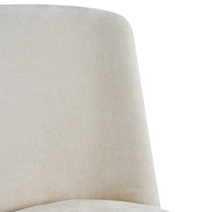 Modern Indoor Dining Chair Set of 2