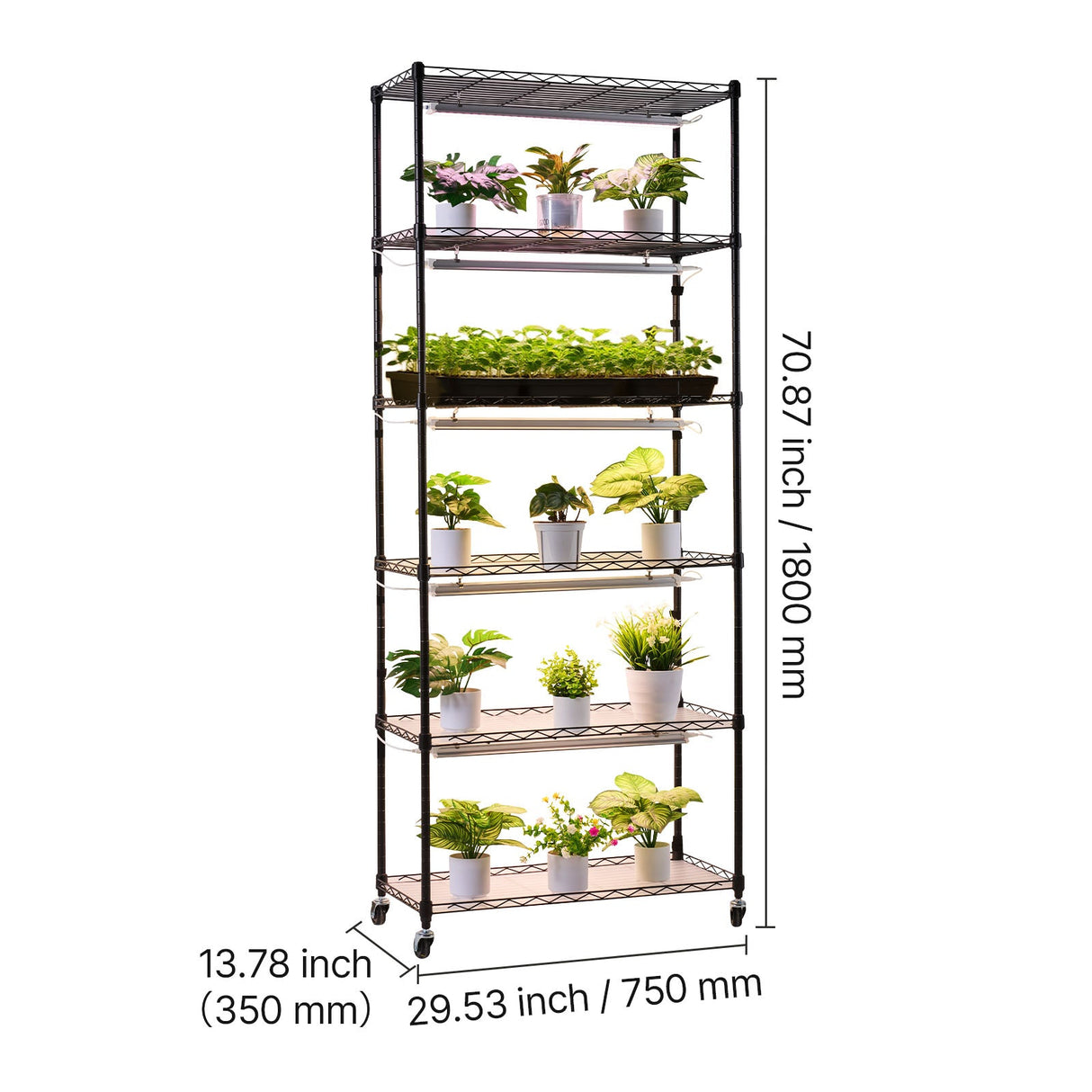 6-Tier Indoor Plant Shelf with Grow Light