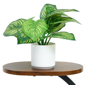 Plant Stand Indoor with Grow Lights - 62 in Tall 8-Tier Lighted Shelf