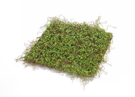 Lifelike moss display mat (set of 12)