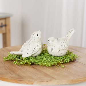 Ivory Terra Cotta Bird Figurine (Set of 4)