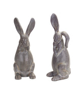 Long-ear-stone-rabbit-garden-statue-(set-of-2)-Sculptures-&-Statues