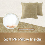 Outdoor/Indoor Decorative Throw Pillows with Inserts (Set of 2)
