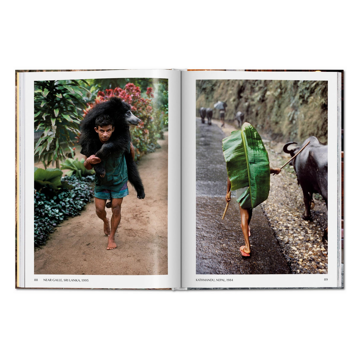 Steve McCurry. Animals (English)