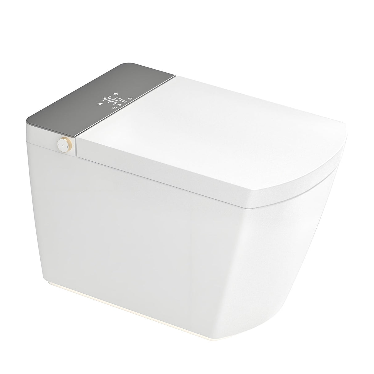 Modern Integrated Smart Toilet