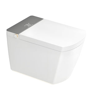 Modern Integrated Smart Toilet