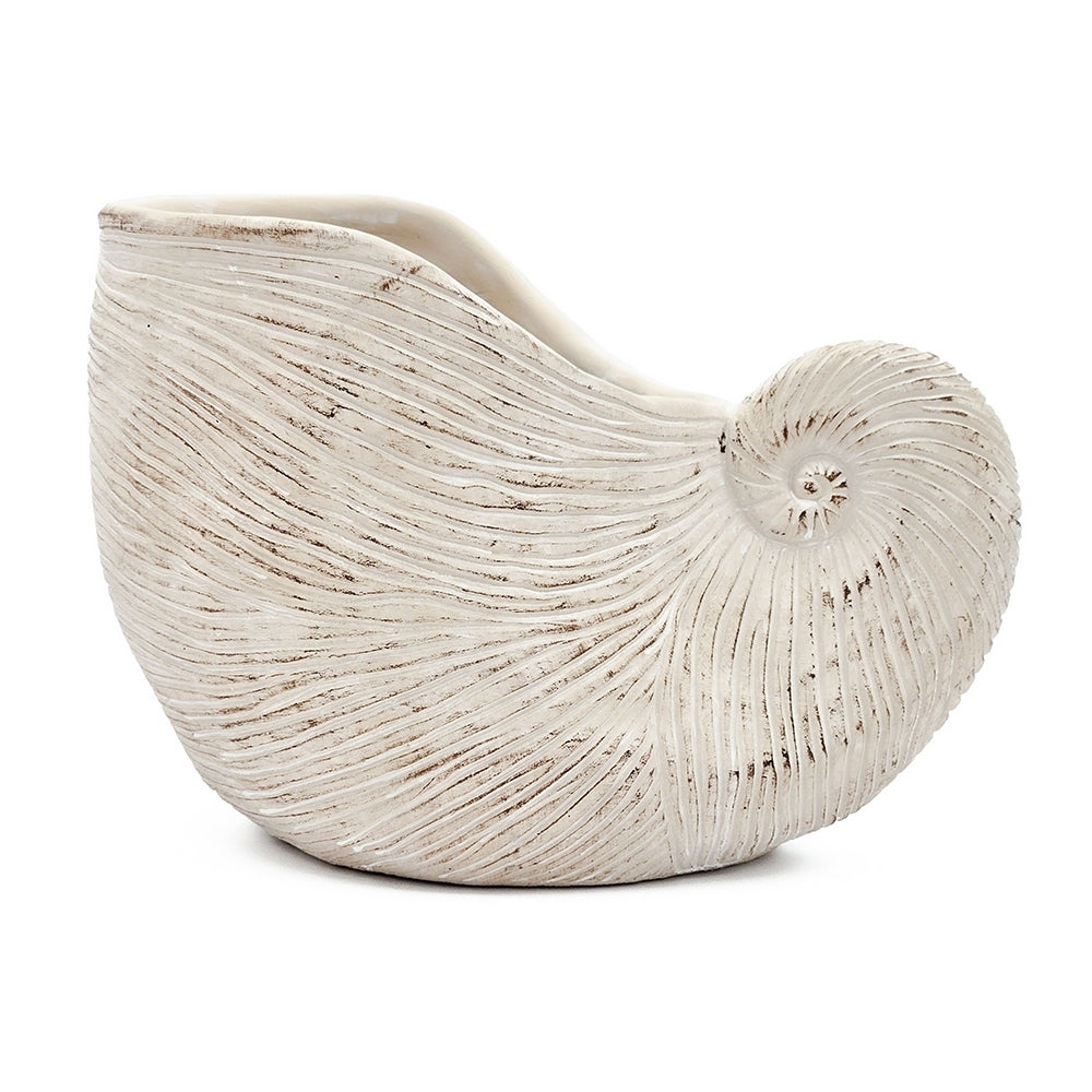 11.5x6.7x7.7 Sand and Cement Nautilus Shell Planter with Textured Beige Finish
