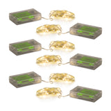 Mini-led-string-light-strand-(set-of-6)-Garden-Decor