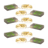Mini-led-string-light-strand-(set-of-6)-Garden-Decor