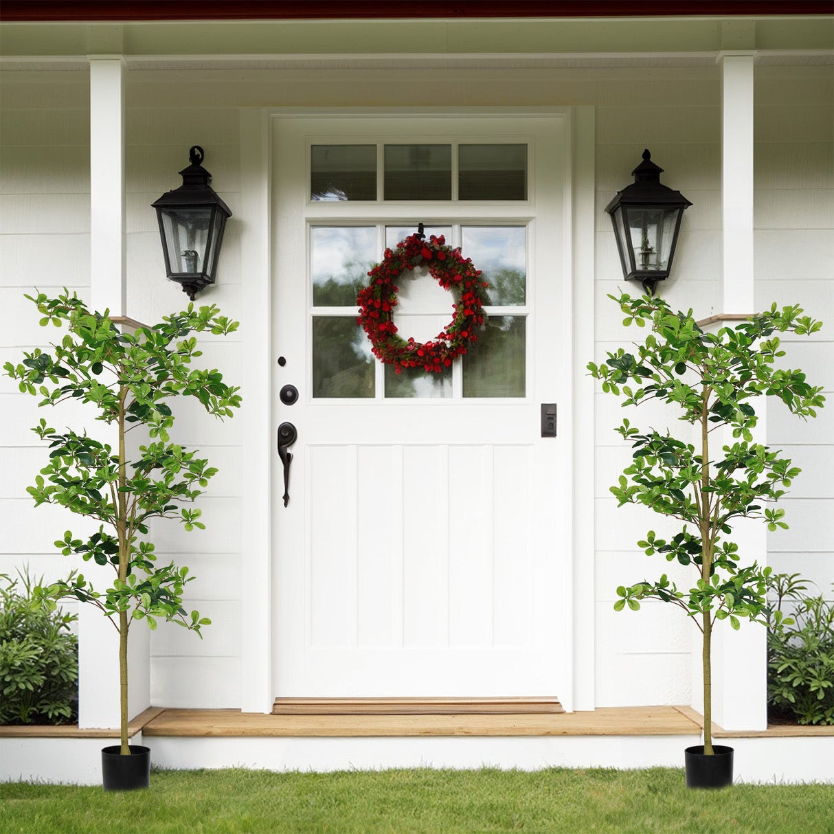 6FT Tall Artificial Polyscias Fruticosa Tree for Indoor Decor