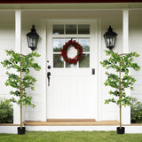 6FT Tall Artificial Tree, Fake Polyscias Fruticosa Plant for Indoor Decor