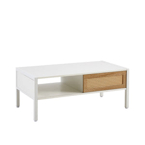 Modern Rattan Coffee Table with Sliding Door