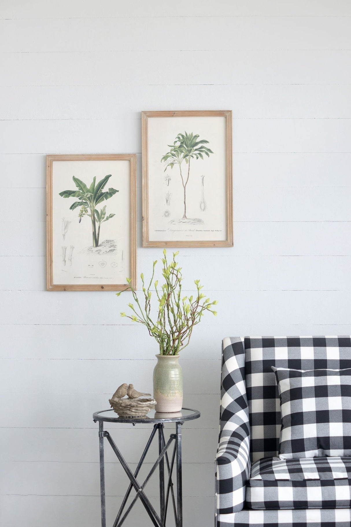 Tree Framed Print Set of 2 - Multicolor Botanical Wall Art
