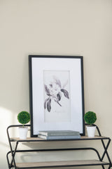 Verdura Botanica: Four-Print Houseplant Pencil Art Set