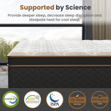 TM Home 10" Flexpedic Luxury Memory Foam & Pocket Spring Mattress