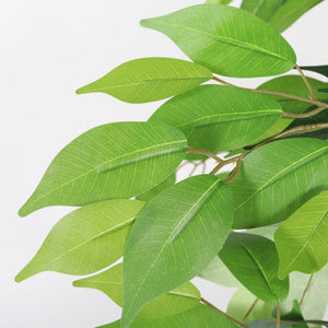 6Ft Artificial Ficus Tree With Natural Wood Trunk In Pot