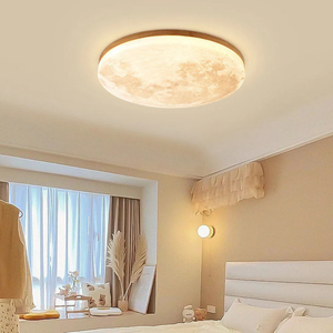 Dimmable LED Ceiling Light Flush Mount for Bedroom Living Room