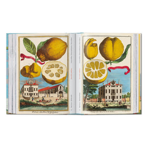 J. C. Volkamer. The Book of Citrus Fruits. 45th Ed. (German, French, English)