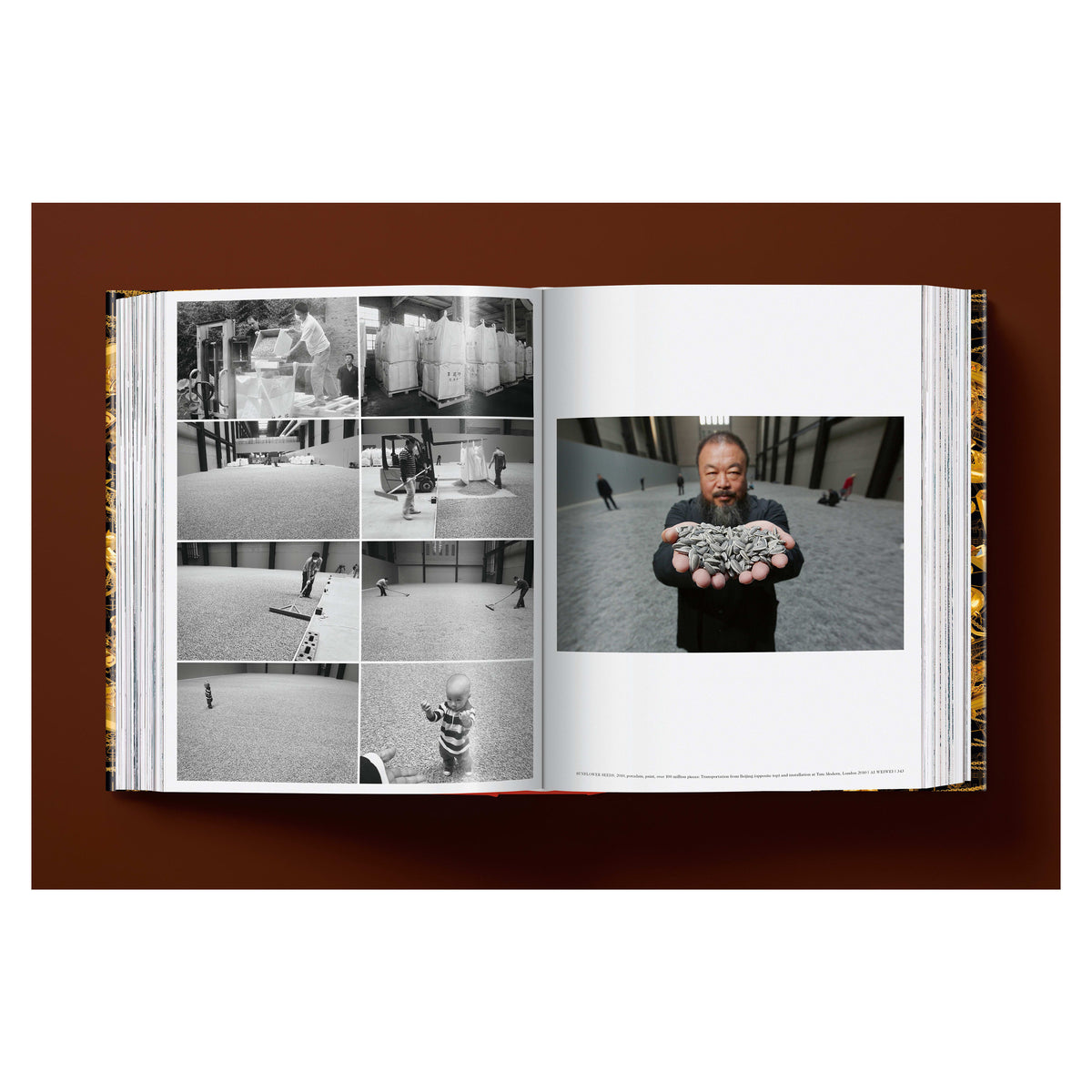 Ai Weiwei. Updated Edition (German, French, English)