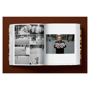 Ai Weiwei. Updated Edition (German, French, English)