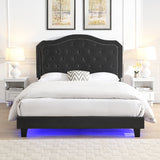 Queen Upholstered Bed Button Tufted with Curve Design