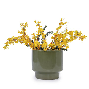 3 Pieces Ceramic Flowerpot Set - Antique Light Green