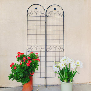 4 Pack Metal Garden Trellis for Climbing Plants