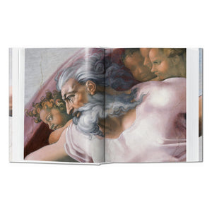 Michelangelo. Paintings, Sculptures and Architecture (English)