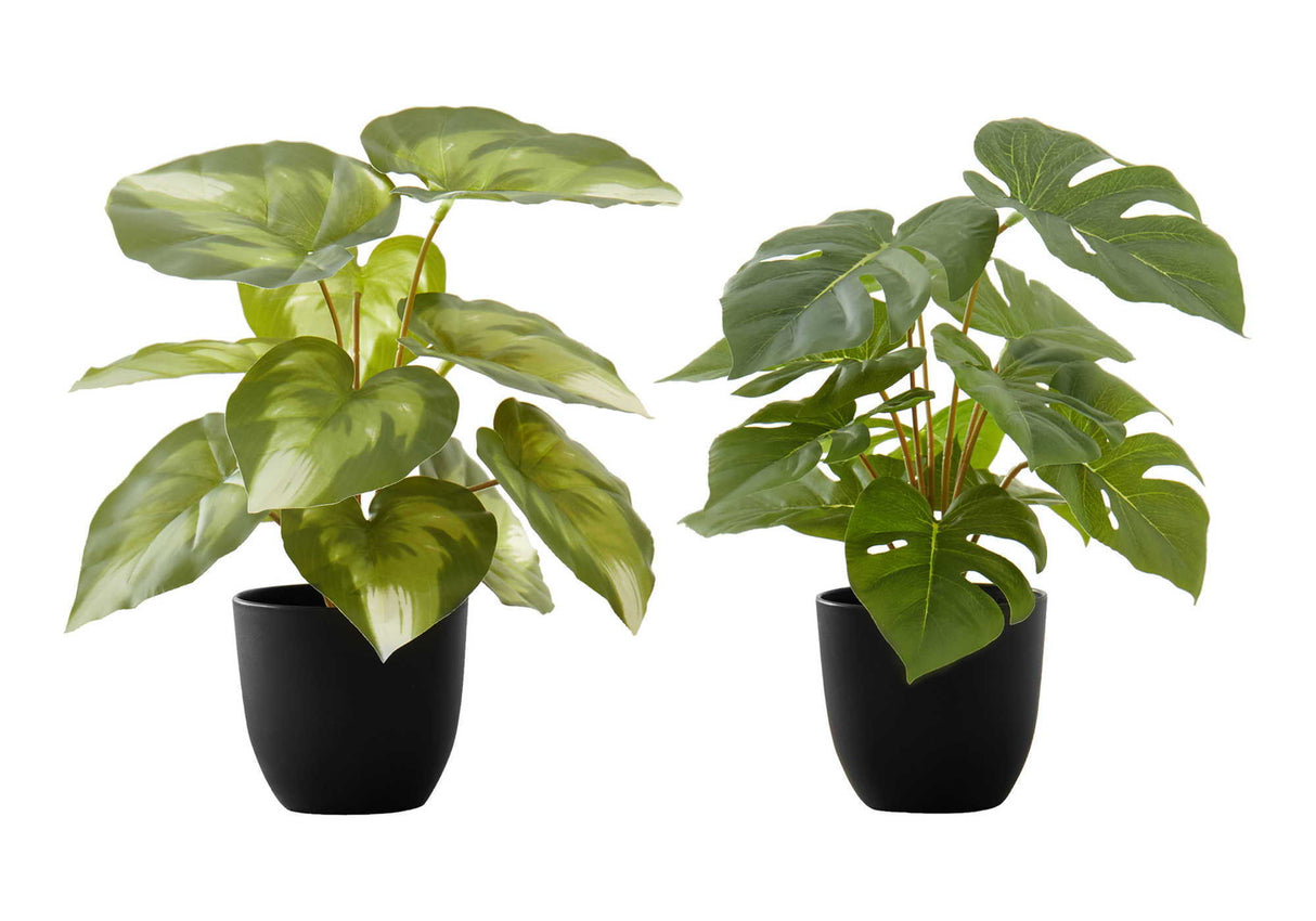 13" Tall Artificial Monstera and Calathea Plants (Set of 2)