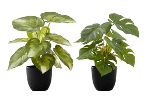 13" Tall Artificial Monstera and Calathea Plants (Set of 2)