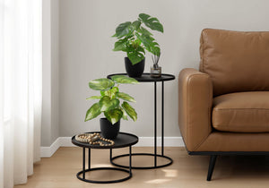 13" Tall Artificial Monstera and Calathea Plants (Set of 2)