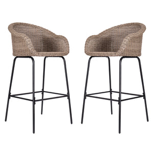 Light Brown Outdoor Metal Wicker Barstool Set of 2 with Iron Frames