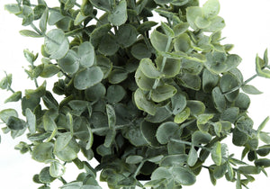 11" Tall, Artificial Plant, Eucalyptus Grass, Indoor, Faux, Fake, Table, Greenery, Potted, Decorative (Set of 2) - Green / Black