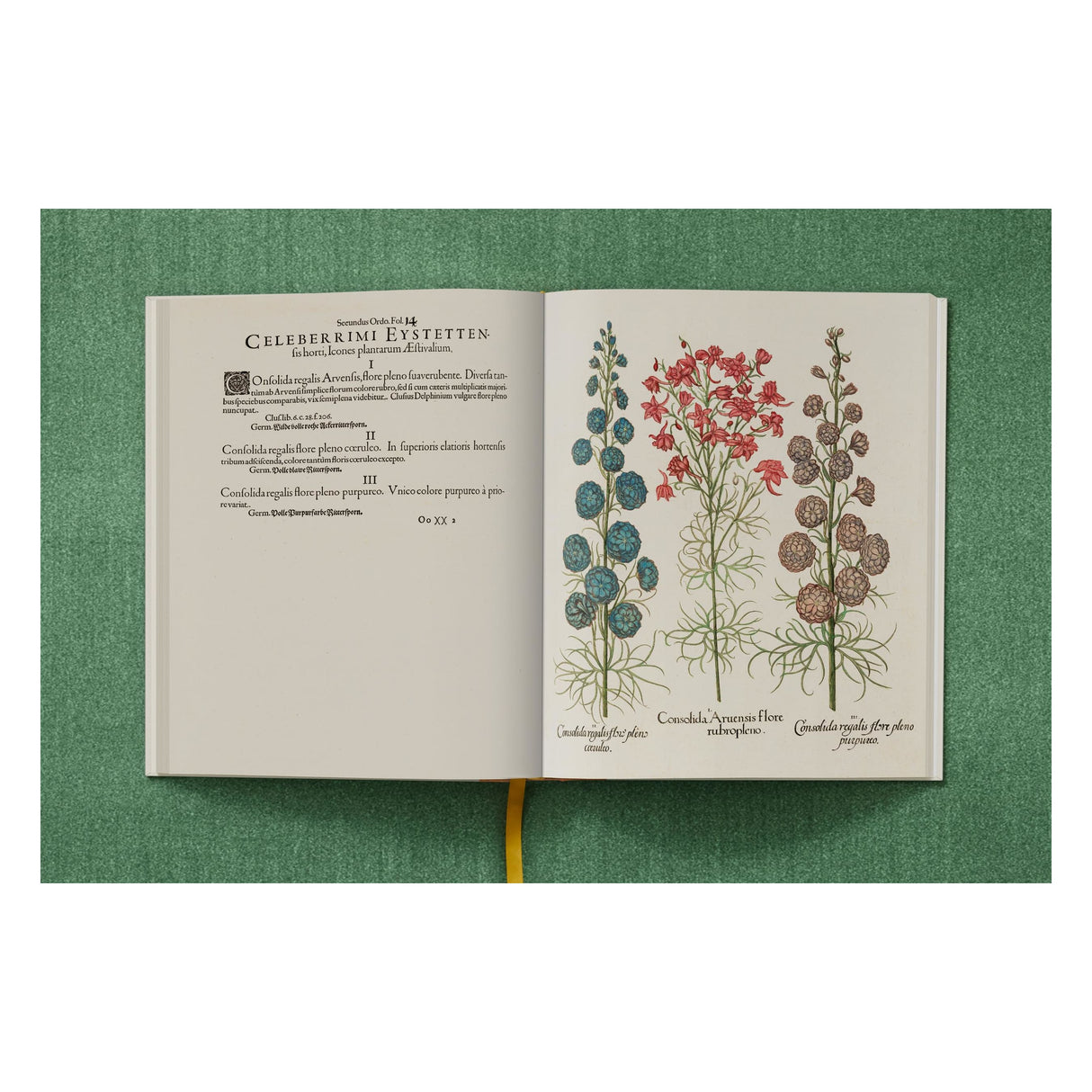 Basilius Besler. The Garden at Eichstätt (German, French, English) (FFE)