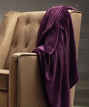Decor&More Home Essentials Solid Microplush Blanket