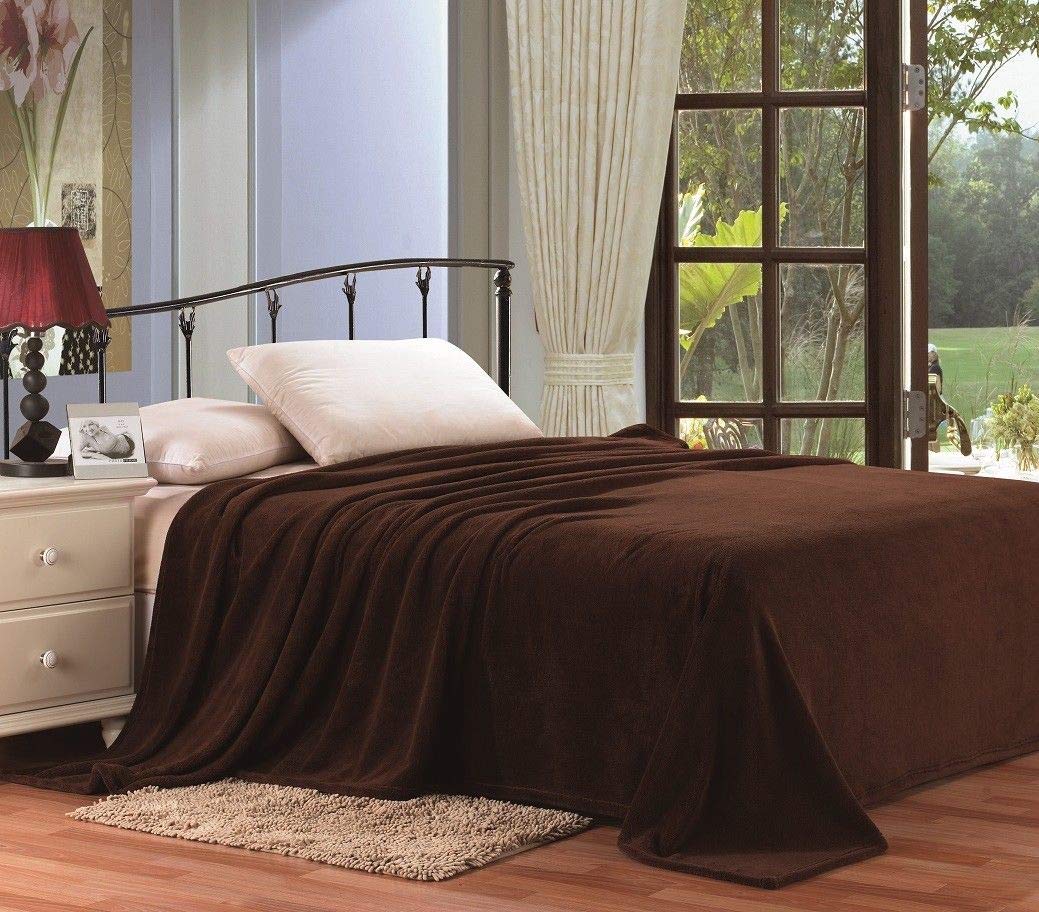 Decor&More Home Essentials Solid Microplush Blanket