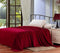 Home essentials solid microplush blanket