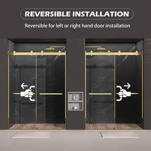 Dual Sliding Frameless Shower Door 56-60 in W x 75 in H