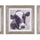 Wood-framed-cow-print-under-glass-(set-of-3)-Wall-Art