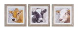 Wood-framed-cow-print-under-glass-(set-of-3)-Wall-Art