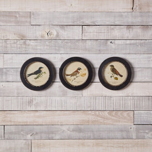 Wood Framed Encyclopedia Bird Print (Set of 3)